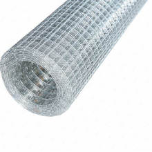 Welded Wire Mesh in Good Quality With ISO9001;TUV ;CE  Certification in Hot Sale(Factory Price)